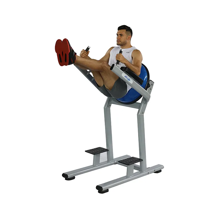 Pull Up Bar Leg Raise And Chest Shoulder Workout Chin Dip Assisted Gym