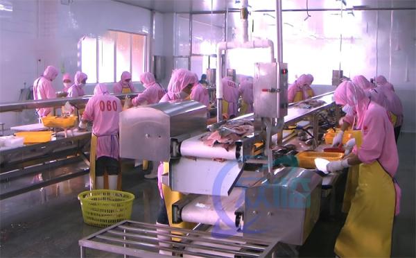 Stainless Steel 304 Fish Processing Line Assembly Line Platform Fish Deheading