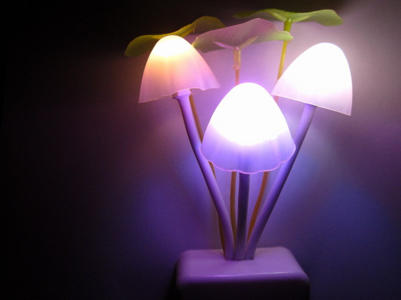 Mushroom night light decorate room/mushroom night light for gift
