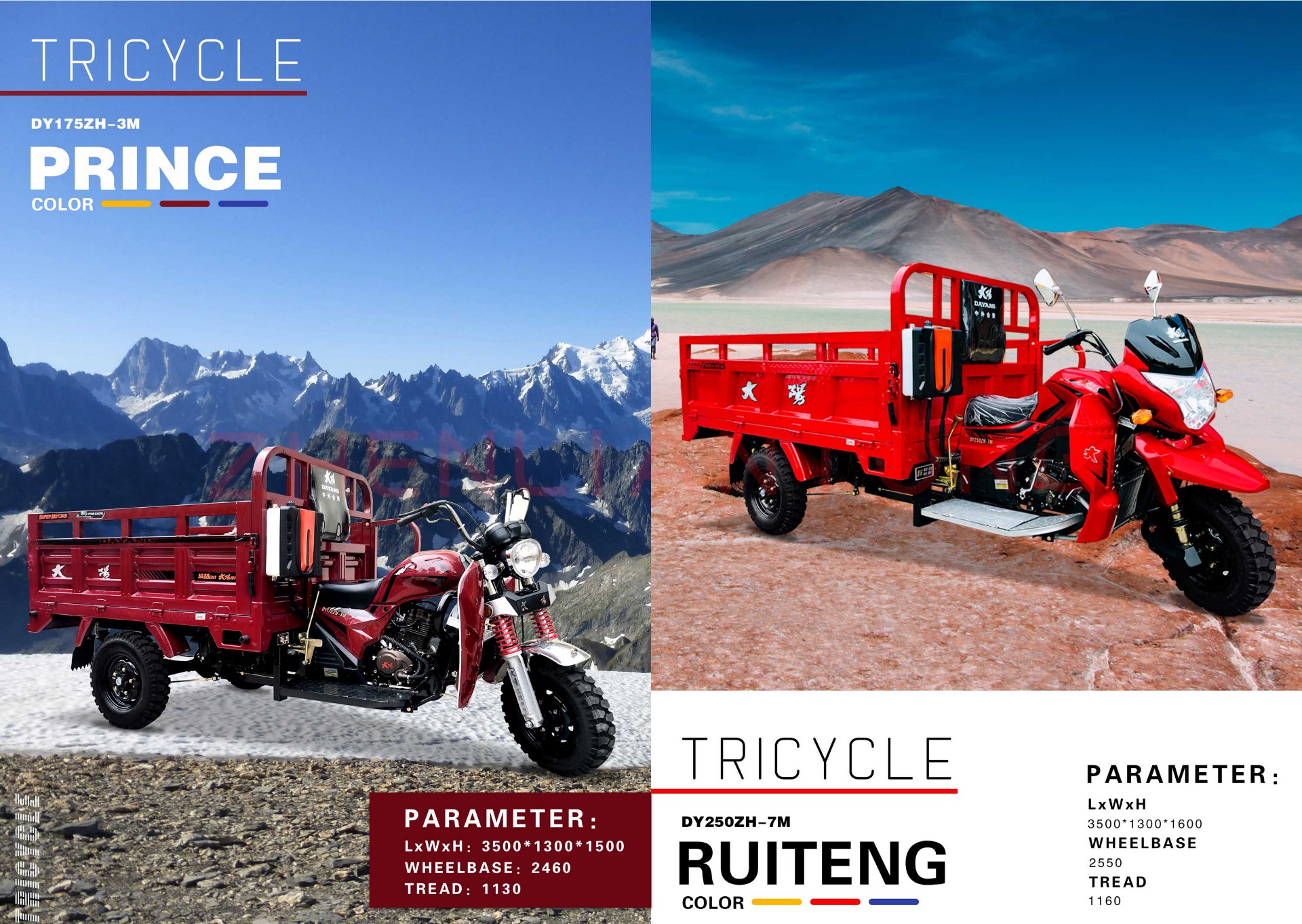 DAYANG Classic Light Loading Truck Cargo Motorcycle 110CC/150CC/175CC Engine Motorized 151-200cc