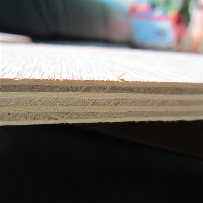 Furniture Moisture Proof 18mm 12mm Bintangor Plywood