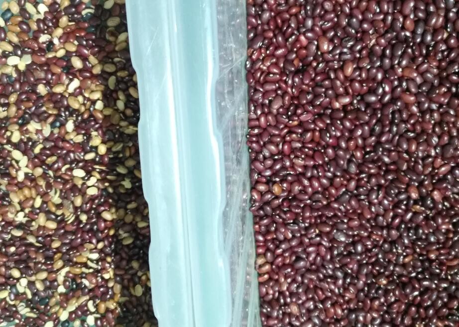 High Accuracy CCD Optical Multifunction Garlic Color Separator Popular In Brazil