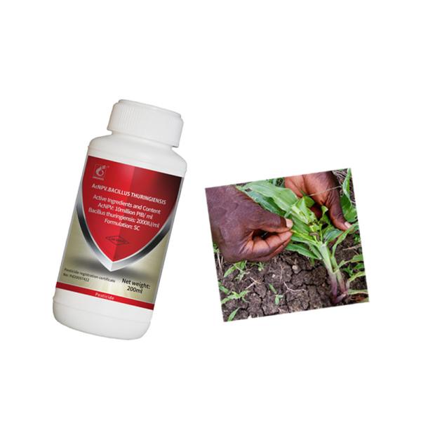 No Safety Interval Agricultural Pesticide AcNPV Kill Lepidopteran Pests For