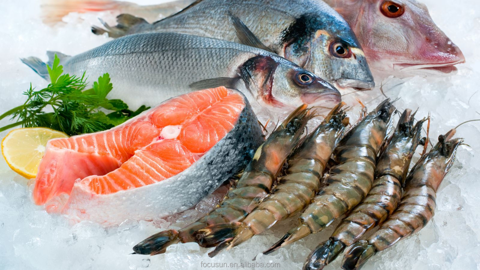 2200kg Operative Weight Flake Ice Machine Perfect for Large-Scale Seafood Production