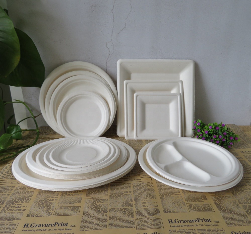 BPA Free Compostable 9 Inch Heavy-Duty 125-Pack Disposable Round Bagasse Pulp Paper Plate