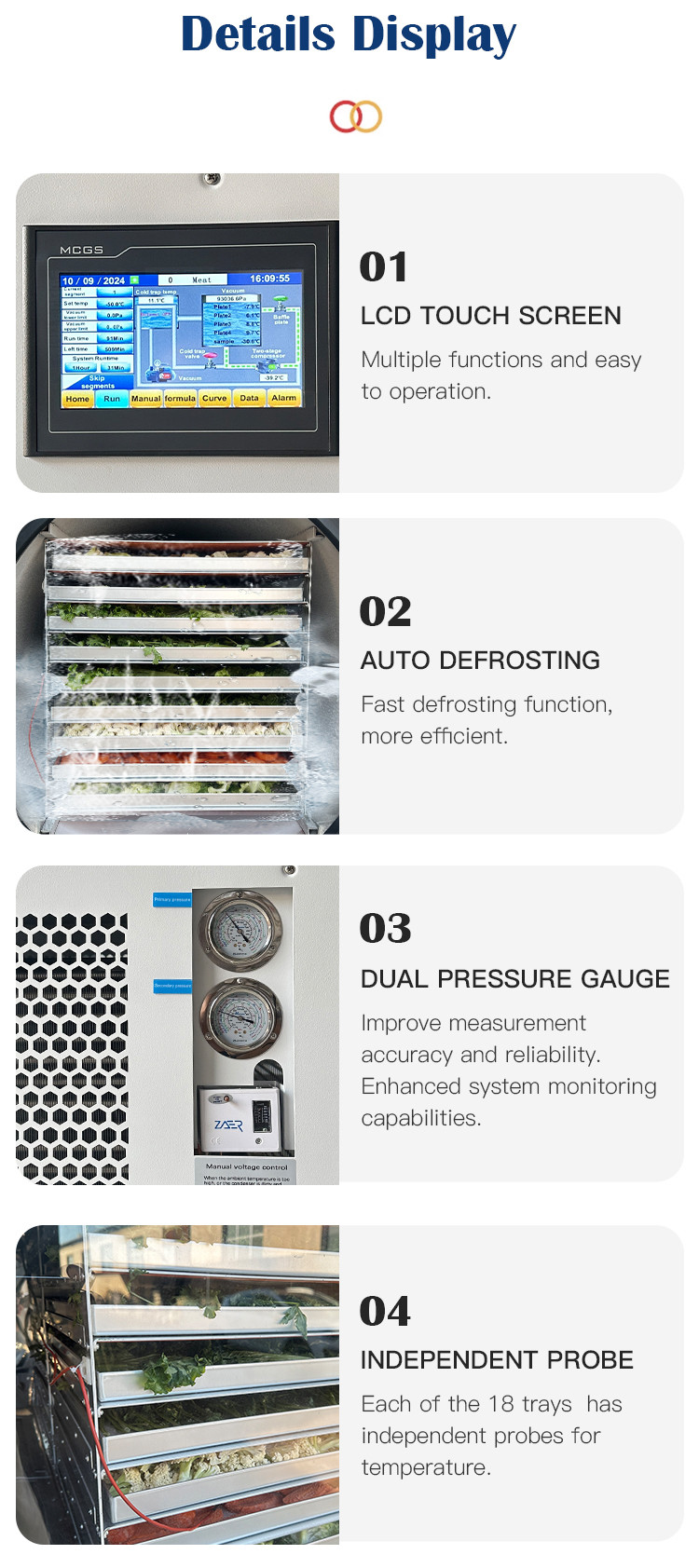 Double Compressor Vegetable Freeze Dryer Fruit Flower Vacuum Freeze Drying Equipment