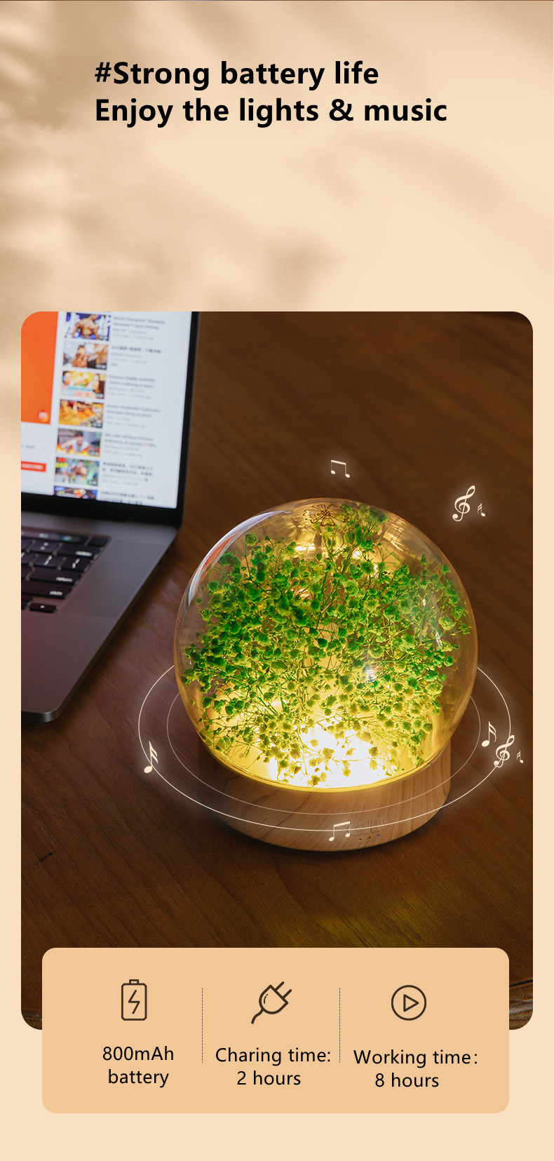 Creative Everlasting Flower Music Night Light Wireless Speaker Colorful Atmosphere Light Home Decoration with Remote Con