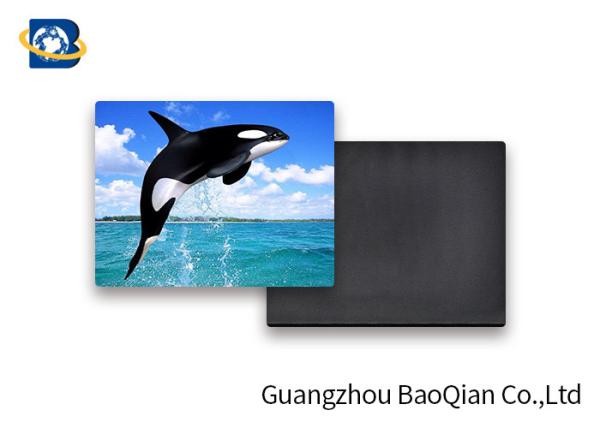 Customized Animal Personalized Fridge Magnets 3D Pictures PET Lenticular