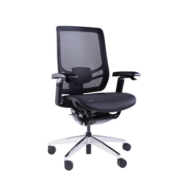 GTCHAIR Ergonomic Office Chair With Adjustable Seat Depth Flexible Backrest