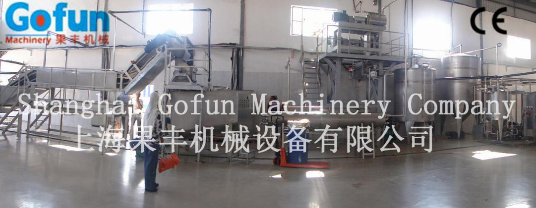 Food Grade SS304 Complete Fresh Tomato Processing Line 2000t/D