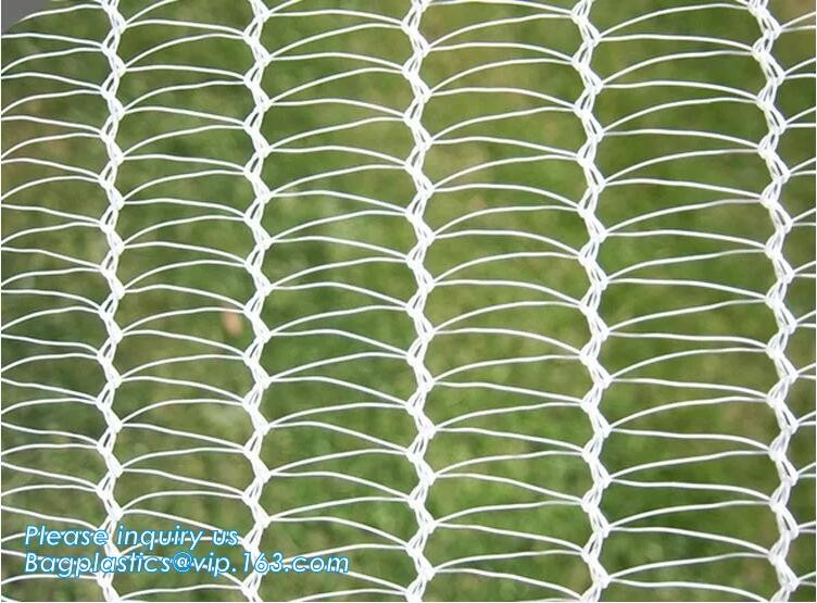 cheap and durable plastic colored anti mosquito netting/window insect screen,Industrial Agricultural Greenhouses use 2m
