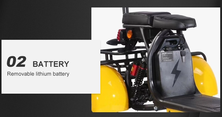 All Terrain 3 Wheel Electric Scooter 2 Seater 3000W EEC COC