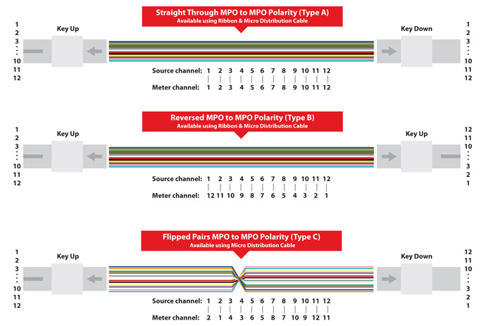 12 Fibers MPO Female To MPO Female Singlemode 3.0mm LSZH MPO Patch Cord