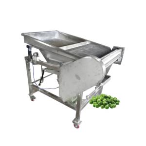 High production low power Multipurpose Bean Peeling Machine