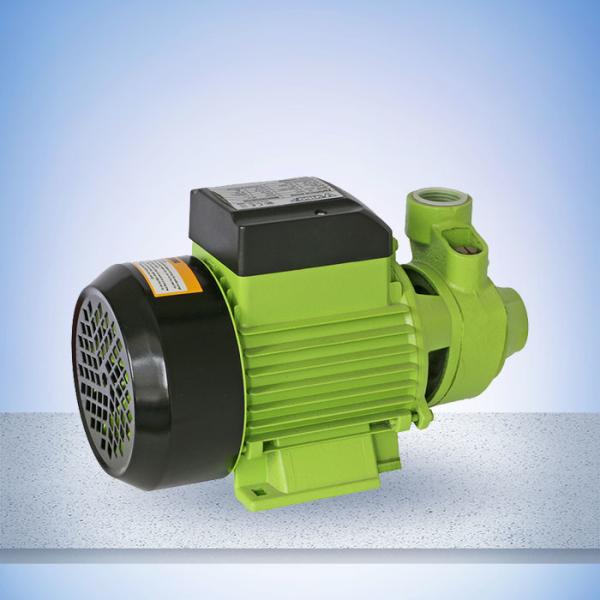 Cast Iron Head 60L/Min 1HP Peripheral Pump With Copper Impeller,longer life and