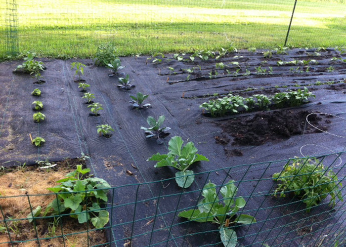 Recycled PP Woven Weed Control Fabric Used In Industry Agriculture Garden