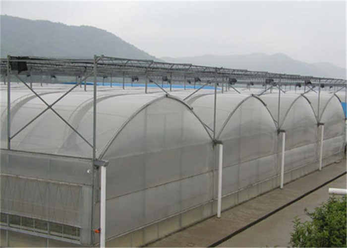 Arch Shape Clear Polycarbonate Greenhouse Polycarbonate Hollow Board Covering Material