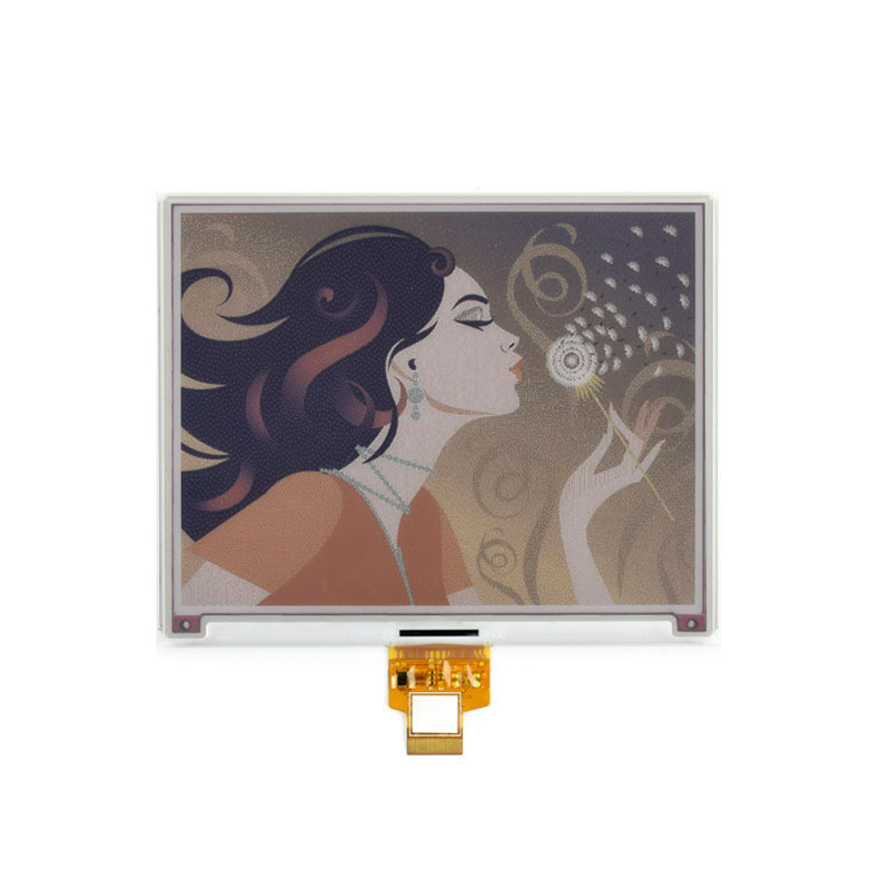 7.3 inch E-Paper Display close-up