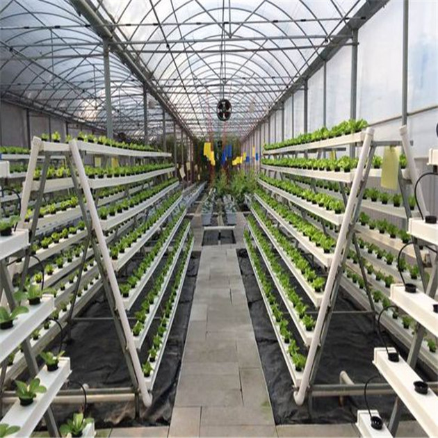 Galvanized Agriculture Vertical Commercial Hydroponic Greenhouse Multi Span