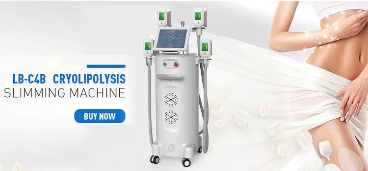 Cryolipolysis Cryotherapy Slimming Machine Price Fat Freezing Machine CE loss weight shaping