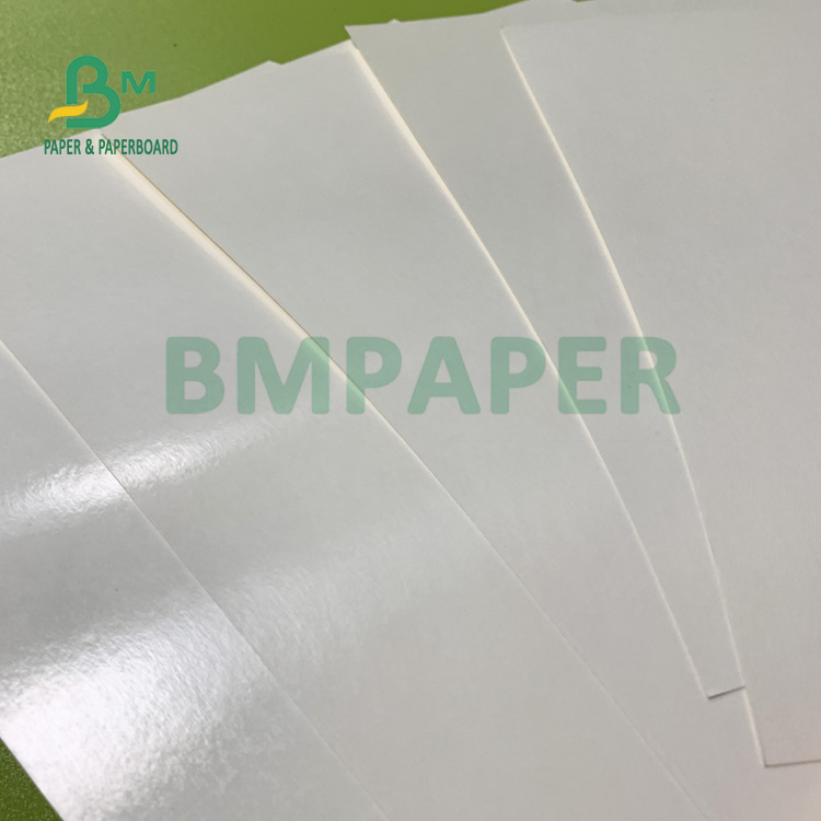 Food Grade 135gsm+10gsm PE Coated Cup Paper Gloss And Matt Finish