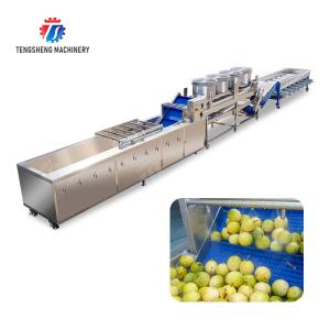 Passion fruit cleaning and drying sorting production line Fruit Vegetable FOOD