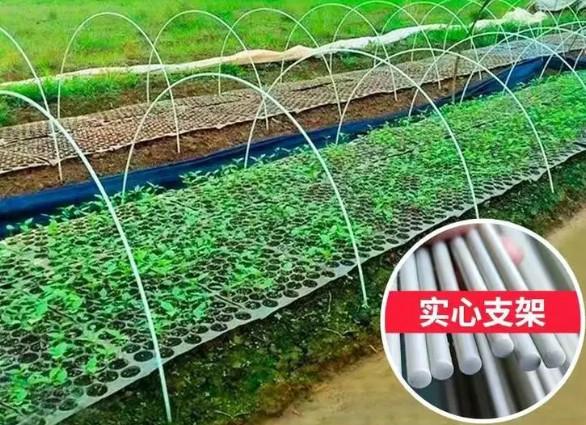 10mm Fiber Reinforced Plastic Rod Flexible Fiberglass Rods For Green House