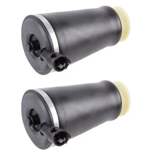 Ford Rear Air Spring New