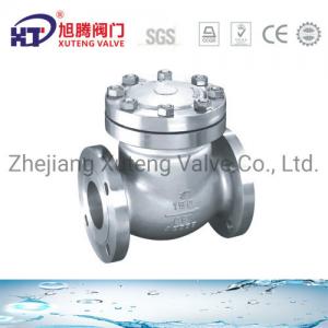  ANSI Swing Flanged Check Valve CE APPROVED Estimated Delivery Time and Fast Shipping Manufactures