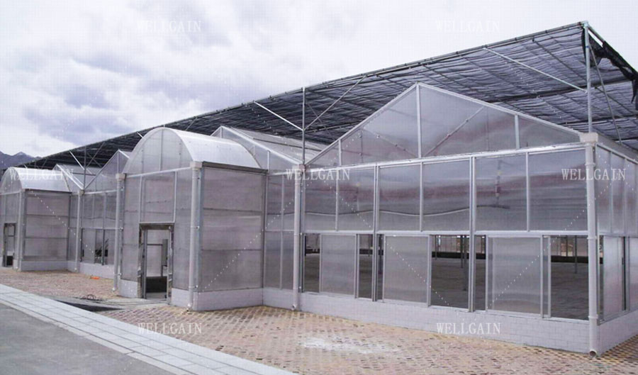 Heavy Duty Smart Cultivation Polycarbonate Greenhouse Automated Hydroponic Greenhouse