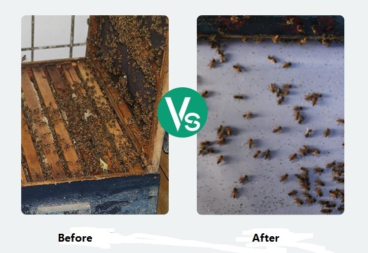 Wangshi bee treatment Manpu 20 Strips Highly Active Bee Varroa Mite Killer Beekeeping Acaricide Supplies