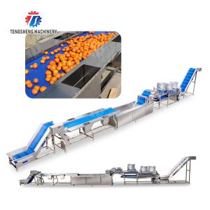 Fruit and vegetable selection washing and drying production line Fruit Vegetable