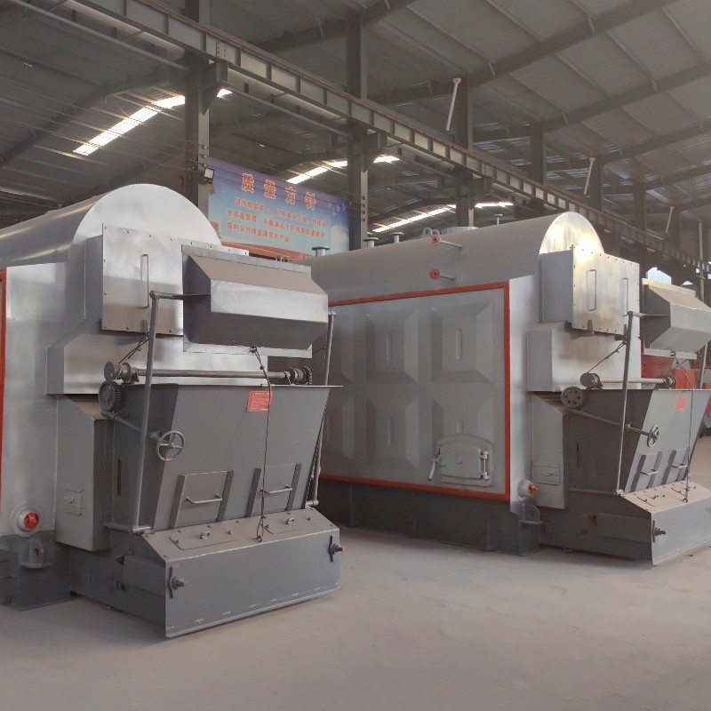 Compact Structure Chain Grate Biomass Steam Boiler for Schools