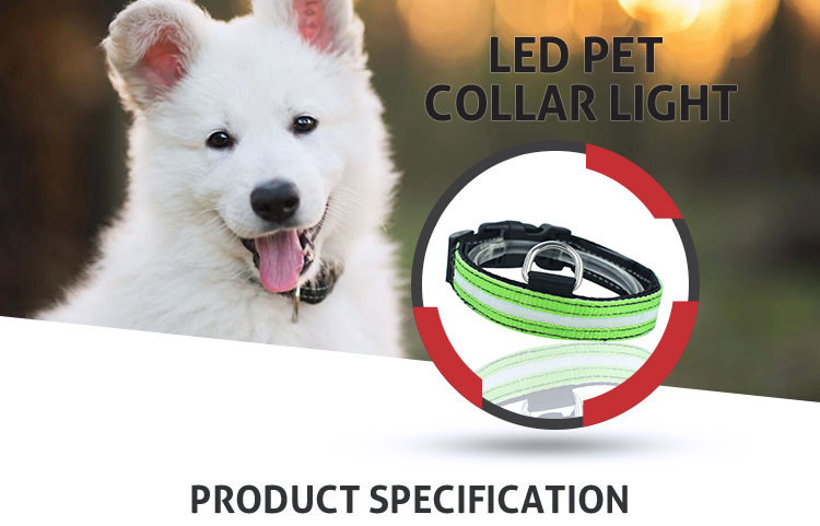 Nylon Bright Night Light LED Dog Collar Flashing Up Safety Leash Orange / Yellow