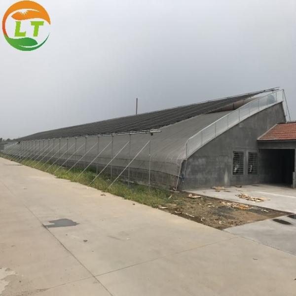 Film Agricultural Solar Greenhouses Maximize Your Vegetable Fruits and Flowers