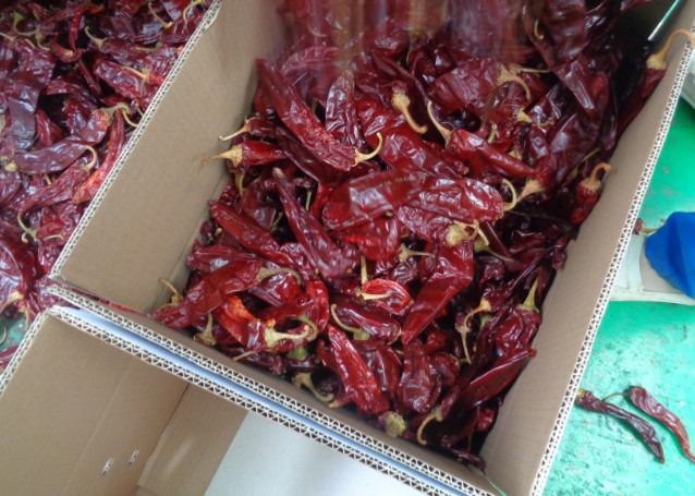 1 Year Shelf Life Sweet Paprika Pepper Dried Red Chilli Additive For Food Ingredient