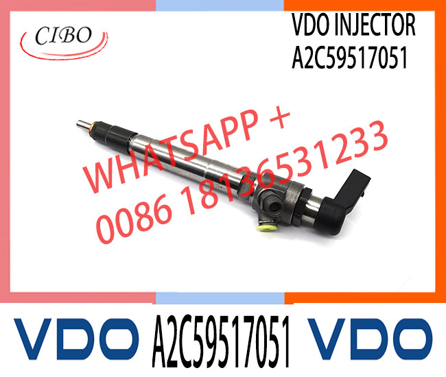 Diesel Fuel Injector BK2Q-9K546-AG A2C59517051 For Ford Transit / Ranger 2.2 TDCi A2C59517051