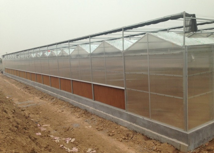 5x4 4x6 4x4 4x2 Polycarbonate Greenhouse Commercial With Tomato Growing System Large Hydroponic