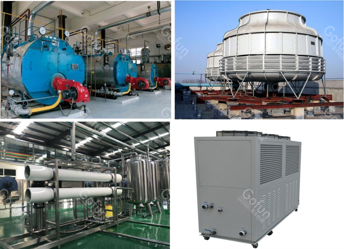 220V SUS304 Mango Juice Processing Line Destoning Removing