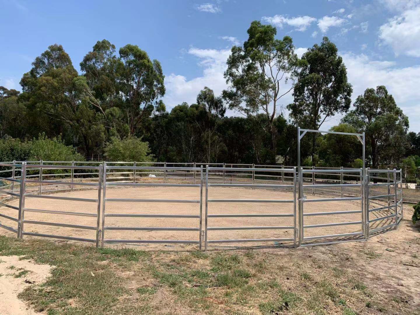 1.8m×2.1m Frame Frame 120g/M2 Coating Heavy Duty Cattle Panel