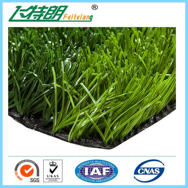 9000 Dtex Artificial Lawn Grass Landscaping 20mm Plastic Carpet Decorative