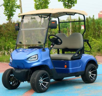 Blue 2 Seater Electric Golf Cart With 48v 4kw Motor Durable Roof And Comfortable