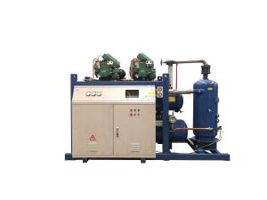  Multiple Refrigerants Low Temperature Screw Parallel Unit 1-6 Parallel Connection Manufactures