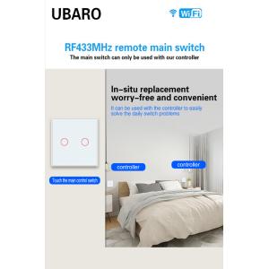  2 Button Wifi Button Switch Plastic Shell 433mhz Button Tempered Glass Panel Manufactures