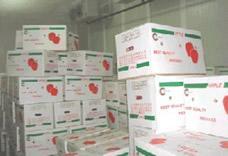 Vegetables Cold Room Freezer Walk In Cold Storage Units For Keep Fresh Fruits Fish Transportation