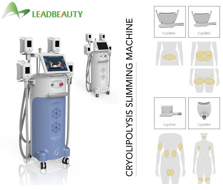 4 cryo handle body slimming weight loss cryolipolysis machine new cryolipolysis machine weight loss