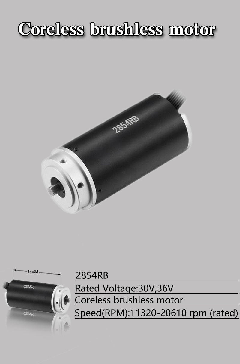 Faradyi Customized 12V Brushed Coreless Motor High Speed Mini Coreless Dc Drone Motor 17Mm Ball Bearing With Connector