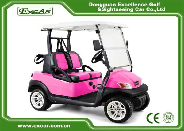 CE Approved Trojan battery Electric golf Cart cheap club car golf cart buggy