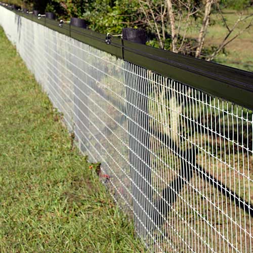 Galvanized Steel Wire Welded Mesh 10 Gauge 2 inch by 2 inch with Welded Technique