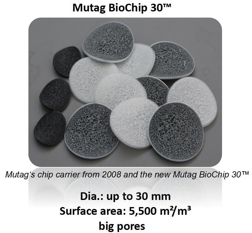 Wear Free Mutag Biochip MBBR 30mm Dia MBBR Filter Media 500L/Hour